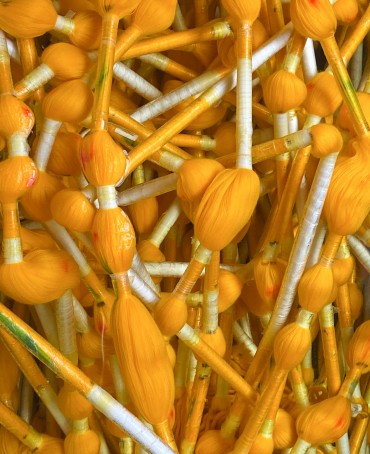 Шелковый (Бахмаль) Клатч-конверт-папка-косметичка SALTARE VITAE! (Танец жизни) THINY_SALTARE VITAE!